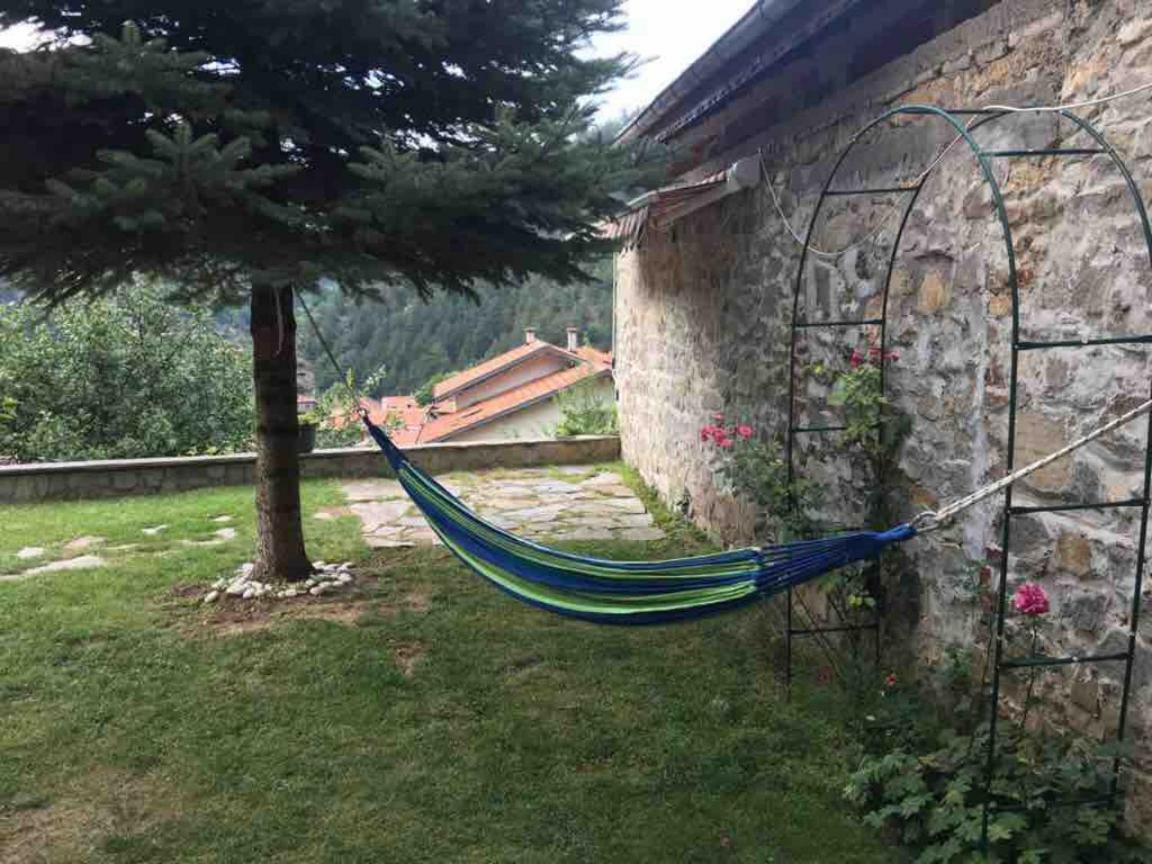 Ambrozia Spa And Relax Family House Batchkovo Extérieur photo